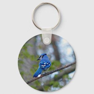 Llavero Jay azul