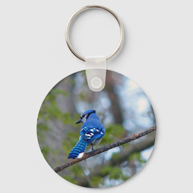Llavero Jay azul (Anverso)