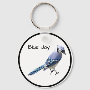 Llavero Jay azul