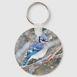 Llavero Jay azul en una tormenta de nieve
