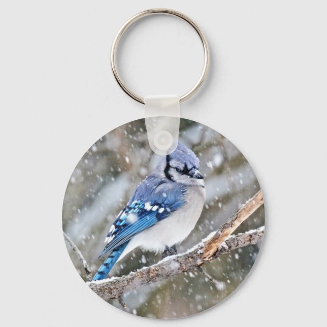 Llavero Jay azul en una tormenta de nieve (Anverso)