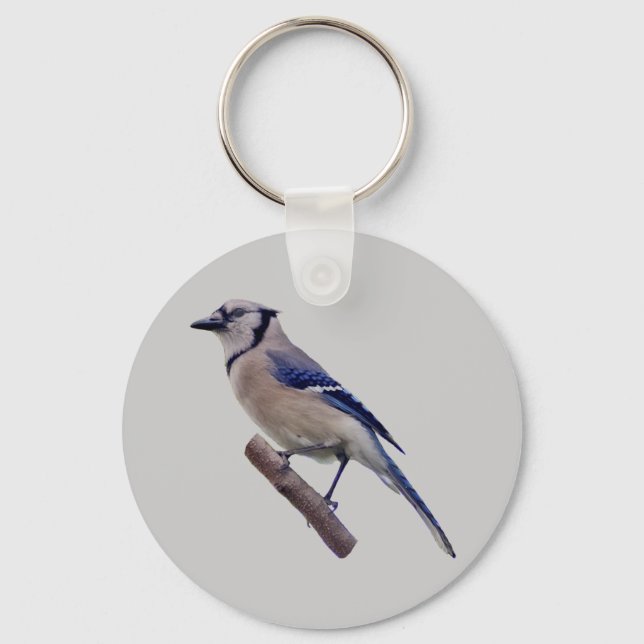 Llavero Jay Bird Azul (Anverso)