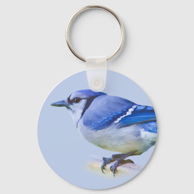 Llavero Jay Keychain azul (Anverso)
