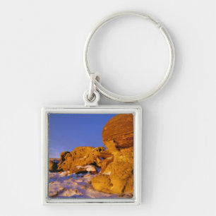 Llavero Jerusalén roca en invierno cerca de hierba dulce