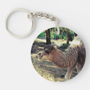 Llavero Jingle Baba y Jelly Baba