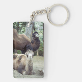 Llavero Jingle Baba y Purnimama