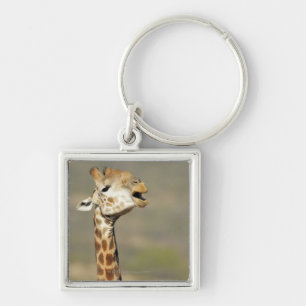 Llavero Jirafa africana meridional (camelopardalis del