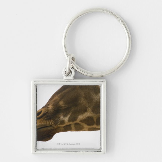 Llavero Jirafa, cierre para arriba (Frente)