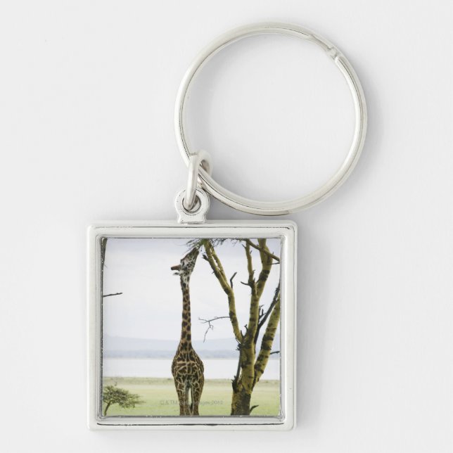 Llavero Jirafa en Kenia, África (Frente)