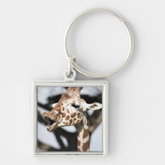 Llavero Jirafa reticulada de cara divertida, San Francisco (Frente)