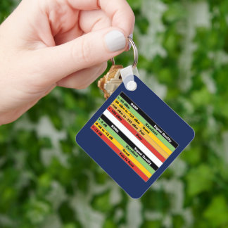 Llavero JML Communications Tower Logo & RSRP Signal Streng