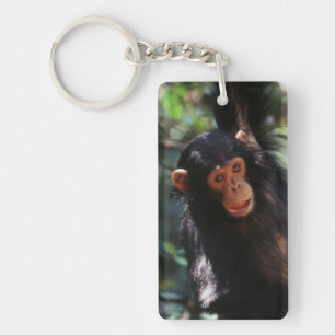 Llavero Joven chimpancé