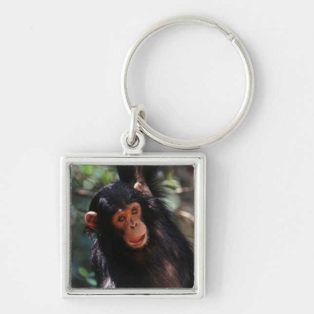 Llavero Joven chimpancé (Frente)