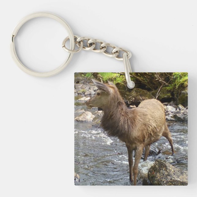 Llavero Joven ciervo rojo en el río (Frente)
