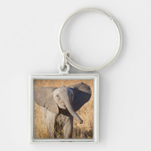 Llavero Joven elefante de sabana