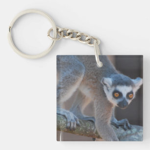 Llavero Joven Lemur Keychain