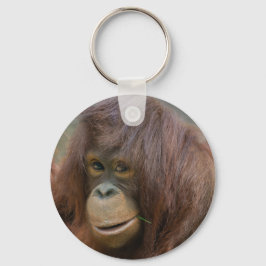 Llavero Joven y juguetón bebé orangután