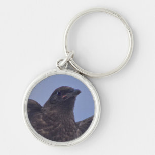 Llavero Jóvenes Raven en el puente Quesnel con Sky