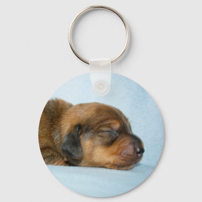 Llavero Jovi 1 wk-Lovebugdoxies (Anverso)