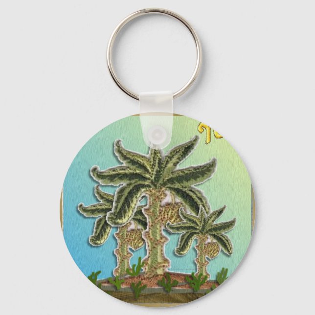 Llavero Judaica 12 Tribus De Israel José (Anverso)