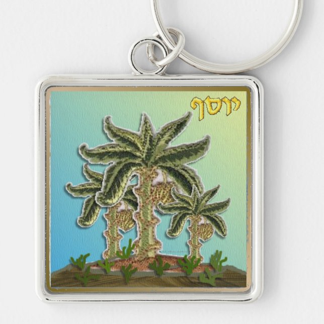 Llavero Judaica 12 Tribus Israel José (Frente)