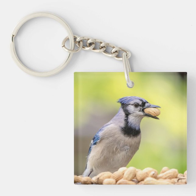 Llavero Judía azul con un maní (Frente)