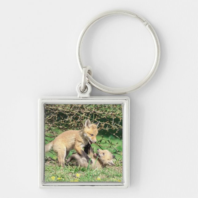 Llavero Juego de Red Fox Kits (Frente)