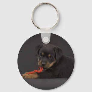 Llavero Jugar el perrito 5