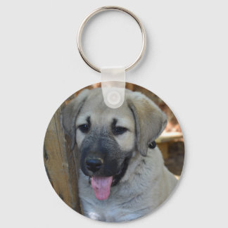 Llavero Kangal - Perro ovino anatoliano