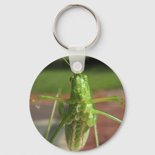 Llavero Katydid ~ keychain