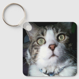 Llavero Keeno oí la cadena de trajes