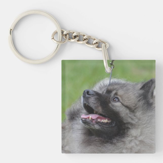 Llavero Keeshond adorable (Frente)
