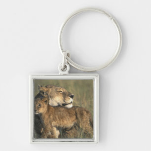 Llavero Kenia, Masai Mara Game Reserve, Lioness