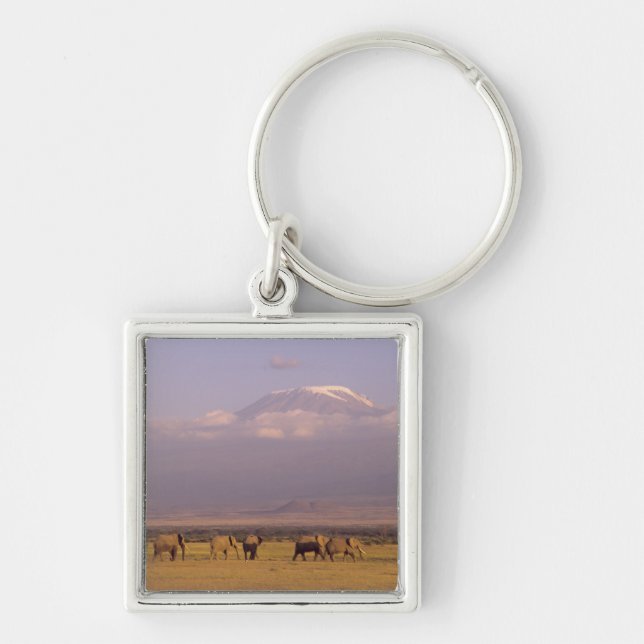 Llavero Kenia: Parque Nacional Amboseli, Elefantes (Frente)