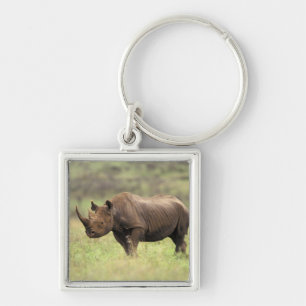 Llavero Kenia, Parque Nacional de Nairobi. Rinoceronte neg