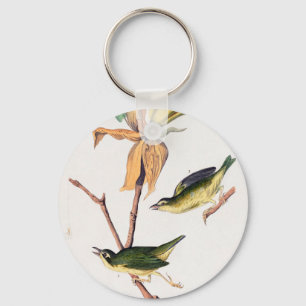 Llavero Kentucky Fly-Catching Warbler Birds Ilustracion