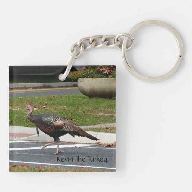 Llavero Kevin The Turkey - Old Wethersfield , CT (2 fotos) (Atrás)