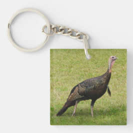 Llavero Kevin The Turkey - Old Wethersfield , CT (2 fotos)
