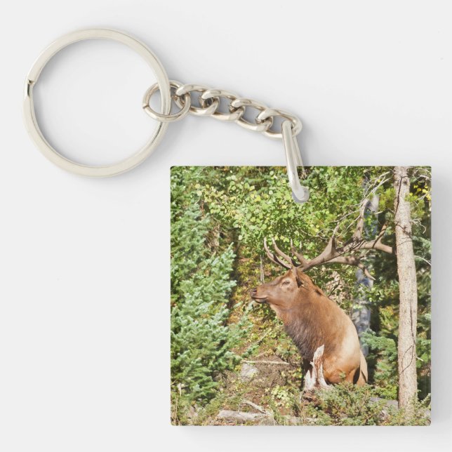 Llavero Keychain acrílico (Frente)