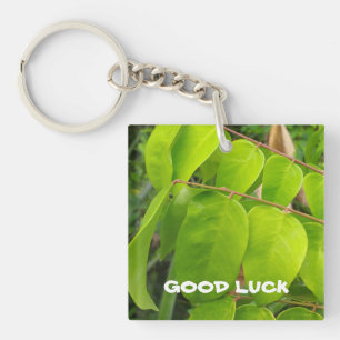Llavero Keychain acrílico con naturaleza