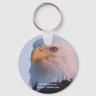 Llavero Keychain / águila calva