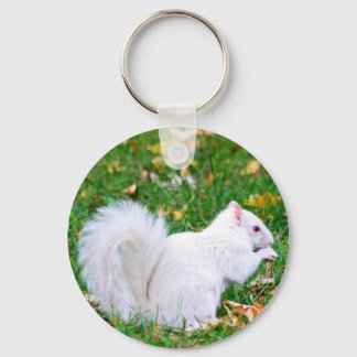 Llavero Keychain - Albino Squirrel
