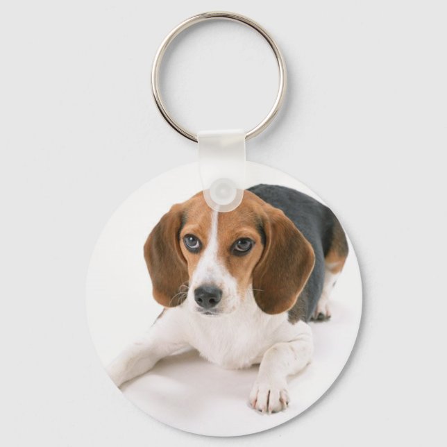 Llavero Keychain Beagle Dog (Anverso)