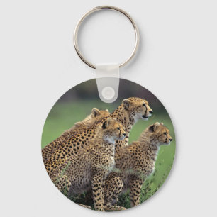 Llavero Keychain-Cheetah