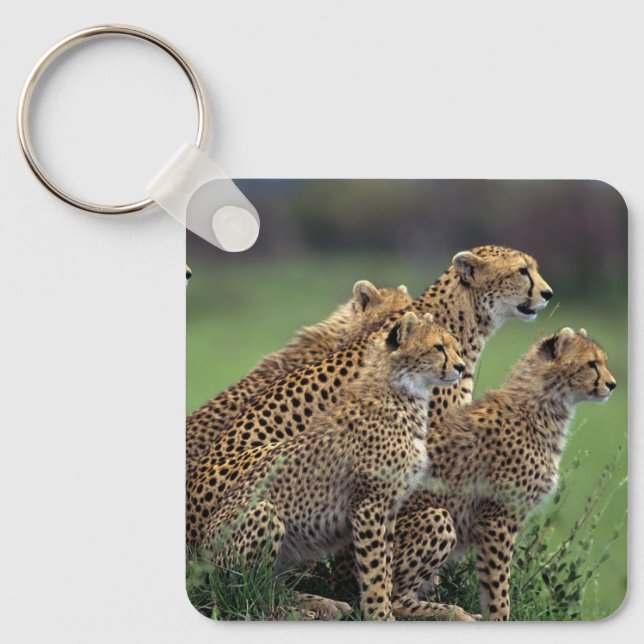 Llavero Keychain-Cheetah (Anverso)