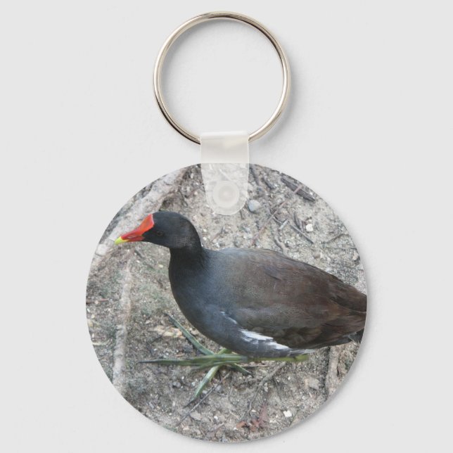Llavero Keychain común de Moorhen (Anverso)