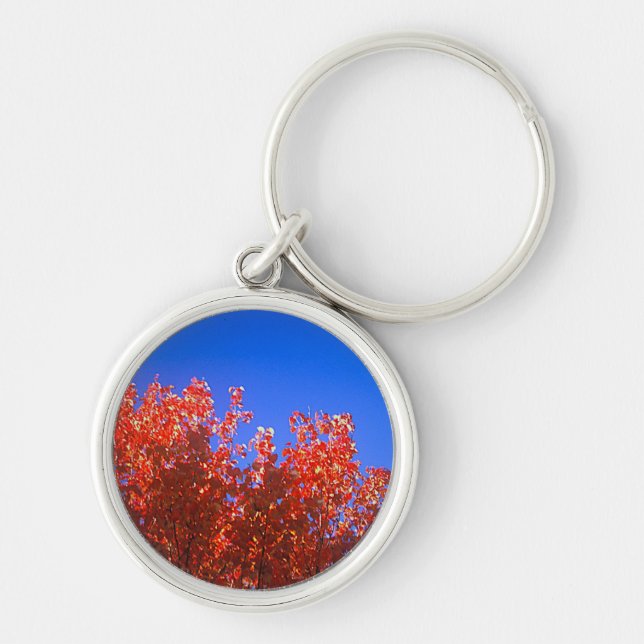 Llavero Keychain con foto de otoño (Frente)