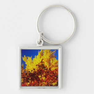 Llavero Keychain con foto de otoño
