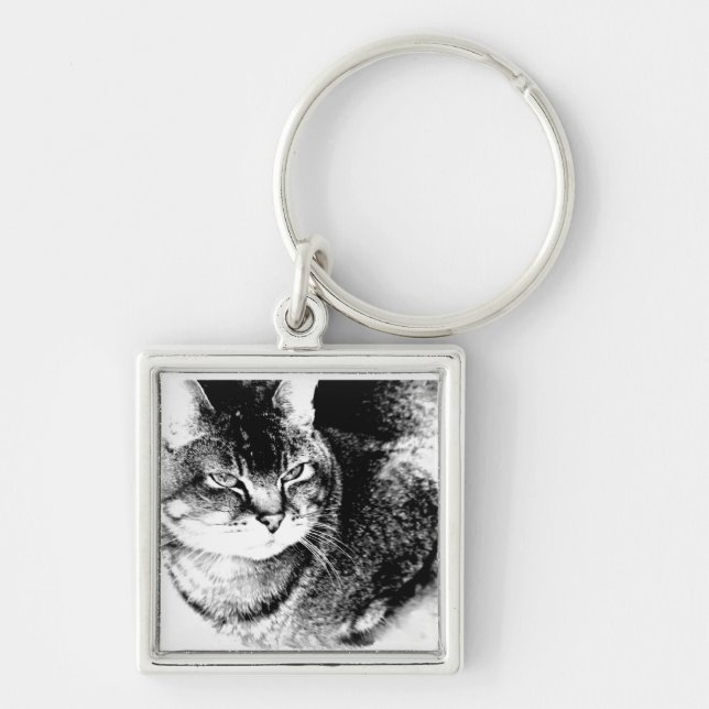 Llavero Keychain cuadrado - Gato vigilante! (Frente)