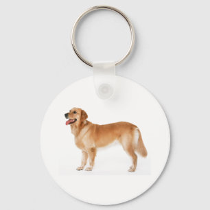 Llavero Keychain de Alert Golden Retriever